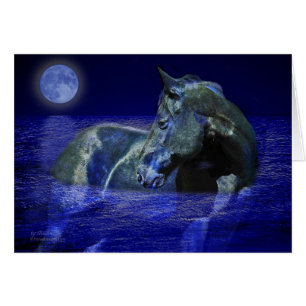 Black Moon Horse