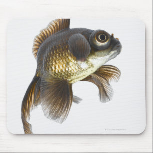 Black moor goldfish (Carassius auratus) 2 Mouse Mat