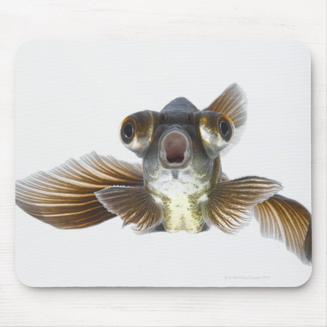 Black moor goldfish (Carassius auratus) Mouse Mat (Front)