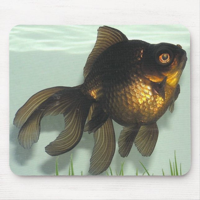 Black-moor Goldfish Mouse Mat (Front)
