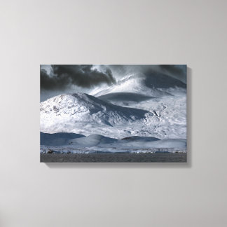 Black Mount Deer Rannoch Moor  Canvas Print