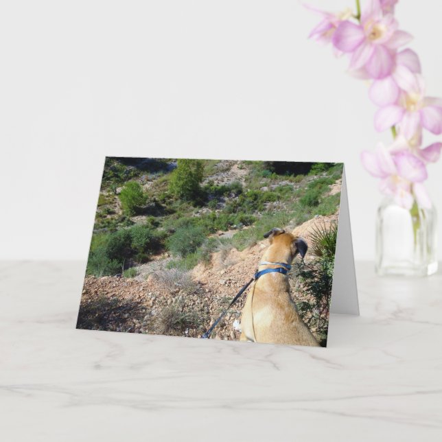 Black Mouth Cur Dog Portrait Card (Orchid)