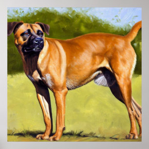 Black Mouth Cur Dog  Poster