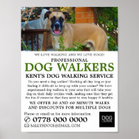 Black Mouth Cur, Dog Walker Service Advertising