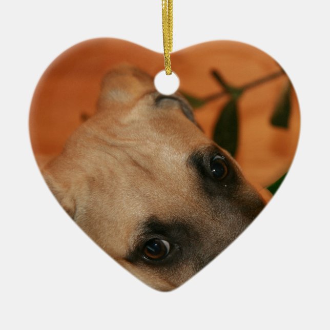Black-mouth cur puppy ceramic tree decoration (Front)