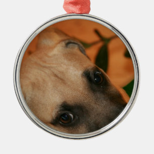 Black-mouth cur puppy metal tree decoration
