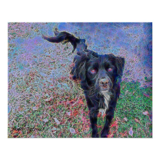 Black Mutt Digital Portrait Poster (Front)