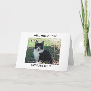 Black N White Cat, WELL, HELLO THERE, HOW ARE YOU? Card