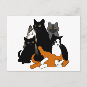 Black 'n' White 'n' Grey 'n' Orange Cats Postcard