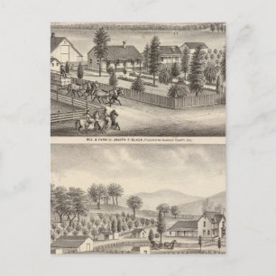 Black, Neal residences, properties Postcard