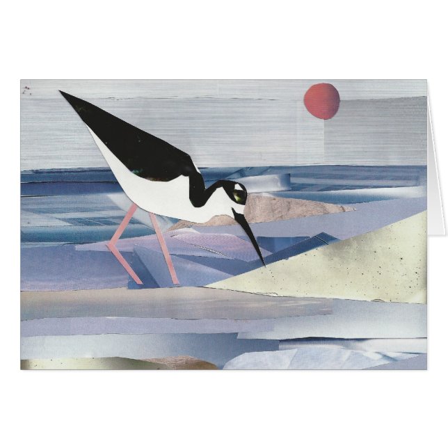 Black-necked Stilt (Front Horizontal)