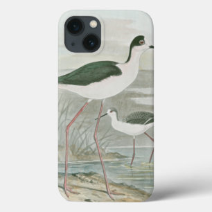 Black-Necked Stilts by the Water iPhone 13 Case