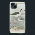 Black-Necked Stilts by the Water iPhone 13 Case<br><div class="desc">This simple yet beautiful fine art print of two black-necked stilts standing by the water on a cloudy day will look perfect on any Zazzle product. The neutral colors are very relaxing and would make a great addition to your home or office.</div>