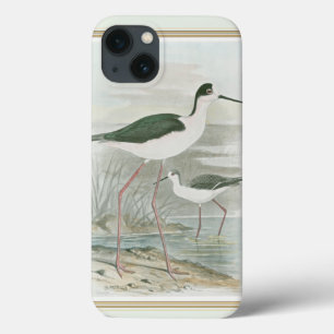 Black-Necked Stilts by the Water iPhone 13 Case