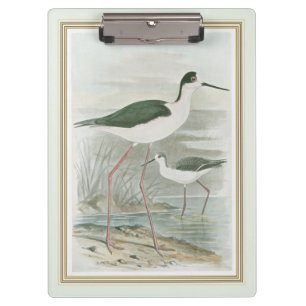 Black-Necked Stilts by the Water Clipboard