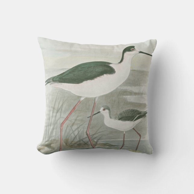 Black-Necked Stilts by the Water Cushion (Front)