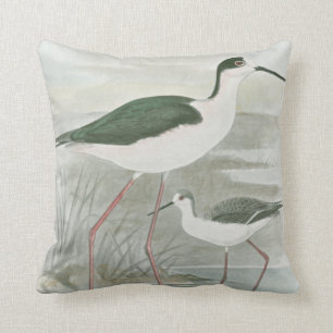 Black-Necked Stilts by the Water Cushion