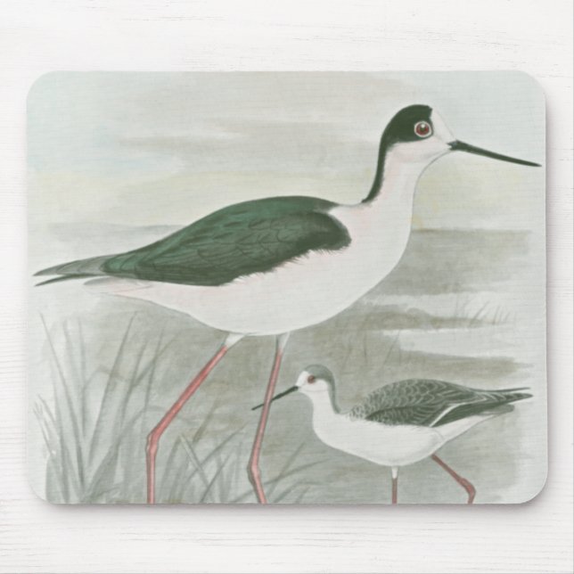 Black-Necked Stilts by the Water Mouse Mat (Front)