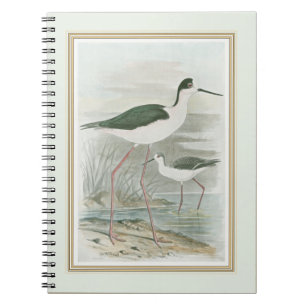 Black-Necked Stilts by the Water Notebook