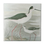 Black-Necked Stilts by the Water Tile<br><div class="desc">This simple yet beautiful fine art print of two black-necked stilts standing by the water on a cloudy day will look perfect on any Zazzle product. The neutral colours are very relaxing and would make a great addition to your home or office.</div>