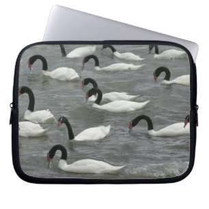 Black-necked swans (Cygnus melancoryphus) Laptop Sleeve