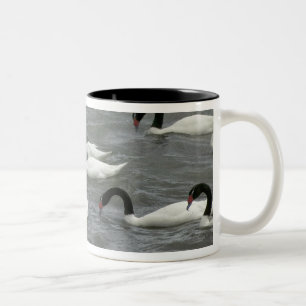 Black-necked swans (Cygnus melancoryphus) Two-Tone Coffee Mug
