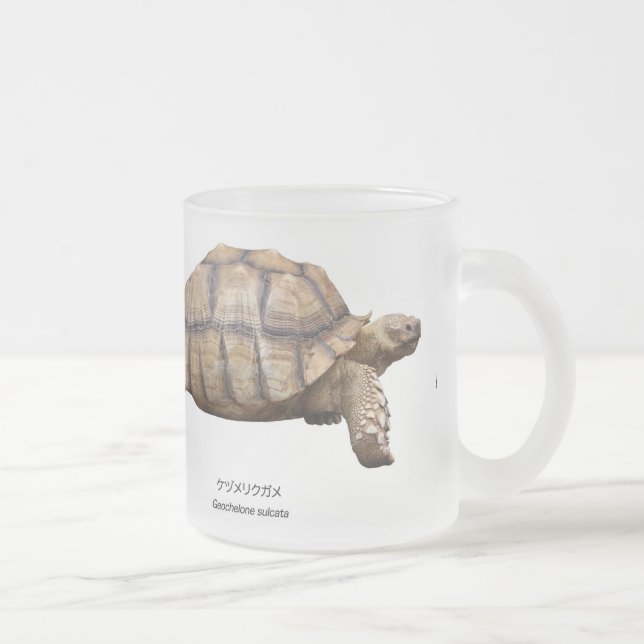 Black-necked turtle frosted glass coffee mug (Right)