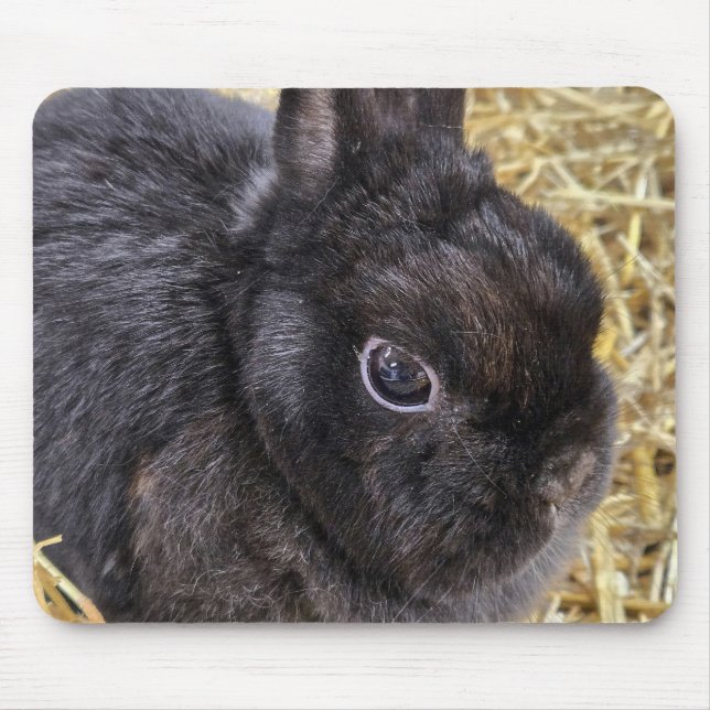 Black Netherland Dwarf Rabbit Mouse Mat (Front)