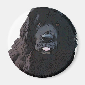 Black Newf Cartoon Magnet