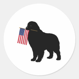 Black Newf Dog Holding USA Flag – July 4th Patriot Classic Round Sticker