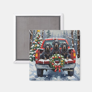 Black Newfoundland Christmas Red Truck Holiday Magnet