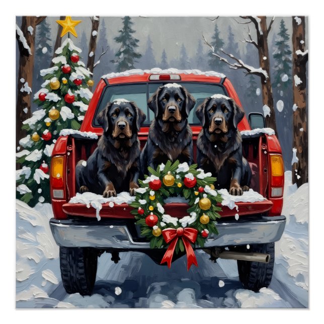 Black Newfoundland Christmas Red Truck Holiday Poster (Front)