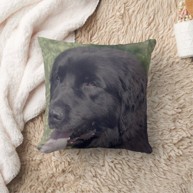 Black Newfoundland Dog Face Cushion (Blanket)