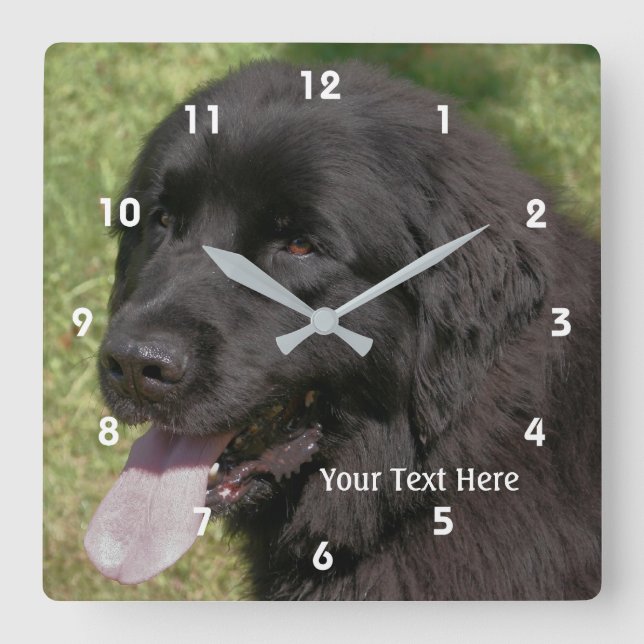 Black Newfoundland Dog Face Square Wall Clock (Front)