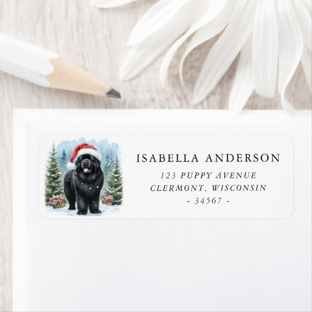 Black Newfoundland Dog Winter Watercolor Address (Insitu)