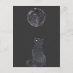 Black night Mystical moon cat  Postcard