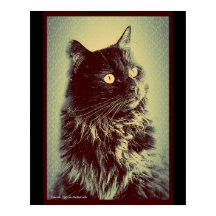 Black Norwegian Forest Cat