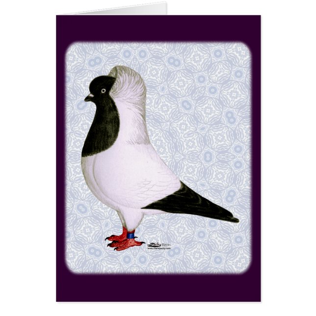 Black Nun Pigeon 1973 (Front)