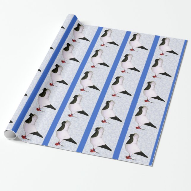 Black Nun Pigeon 1973 Wrapping Paper (Unrolled)