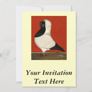 Black Nun Pigeon Invitation