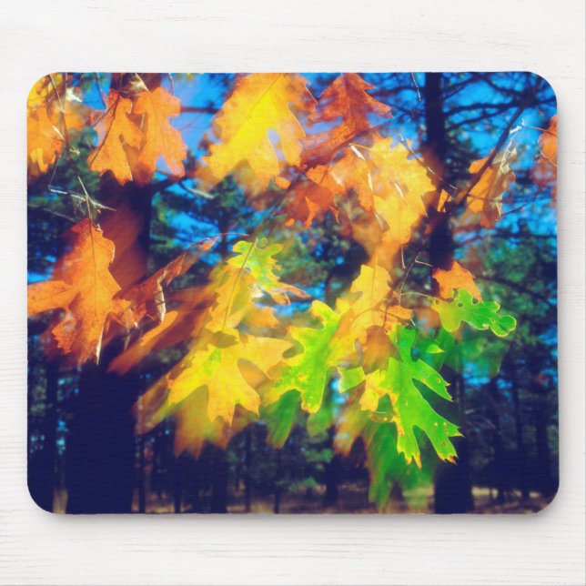 Black Oak Leaves blowing in the Wind Mouse Mat (Front)