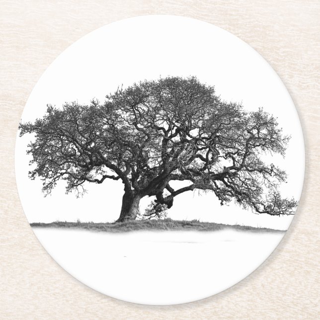 BLACK OAK TREE ROUND PAPER COASTER (Front)