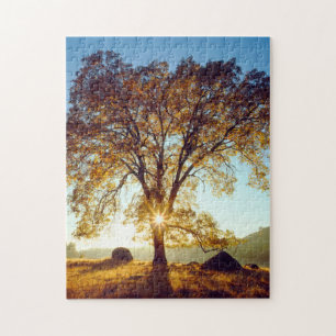 Black Oak Trees Cleveland National Forest, CA Jigsaw Puzzle