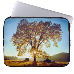 Black Oak Trees   Cleveland National Forest, CA Laptop Sleeve