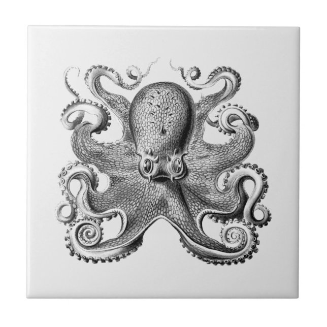 Black Octopus illustration by Ernst Haeckel Tile (Front)