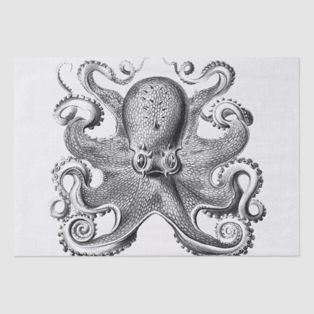Black Octopus illustration by Ernst Haeckel Tissue Paper (Front)
