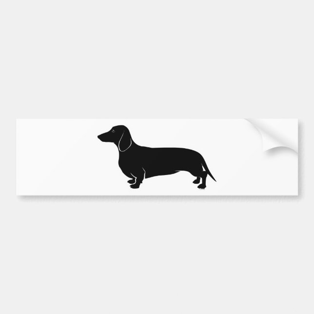 Black on White Dachsund Bumper Sticker (Front)