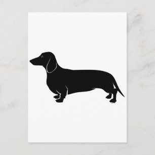 Black on White Dachsund Postcard