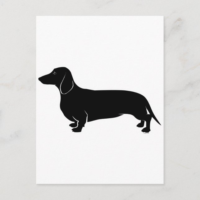 Black on White Dachsund Postcard (Front)