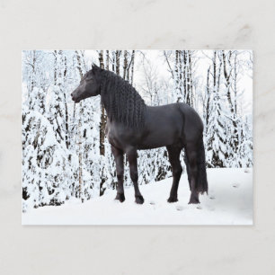 "Black On White" Postcard